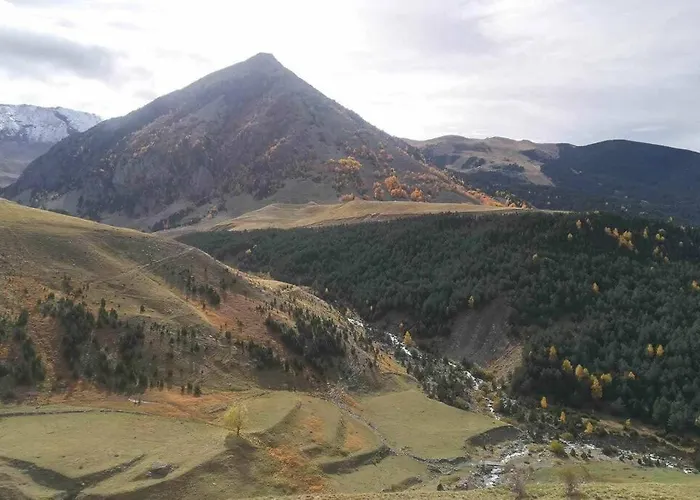 Inmocyma Ibonet-cerler *