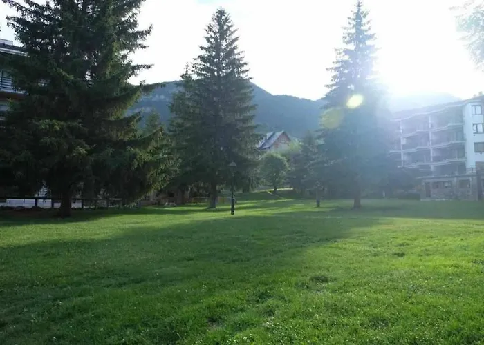 Inmocyma Ibonet-cerler Cerler